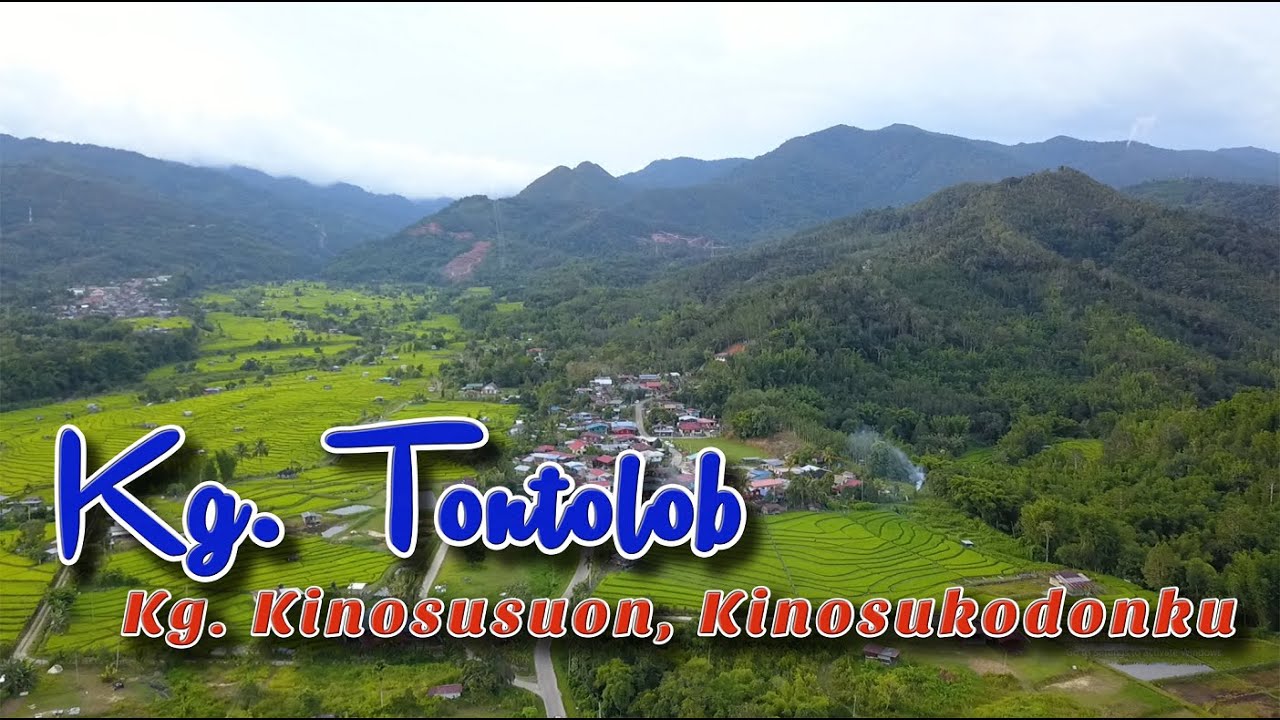 💖💘💞 Kg.  Tontolob, Sunsuron, Tambunan, Sabah, Malaysia: Kampung Kalangadanku [DJI Mavic Air 2 Drone]