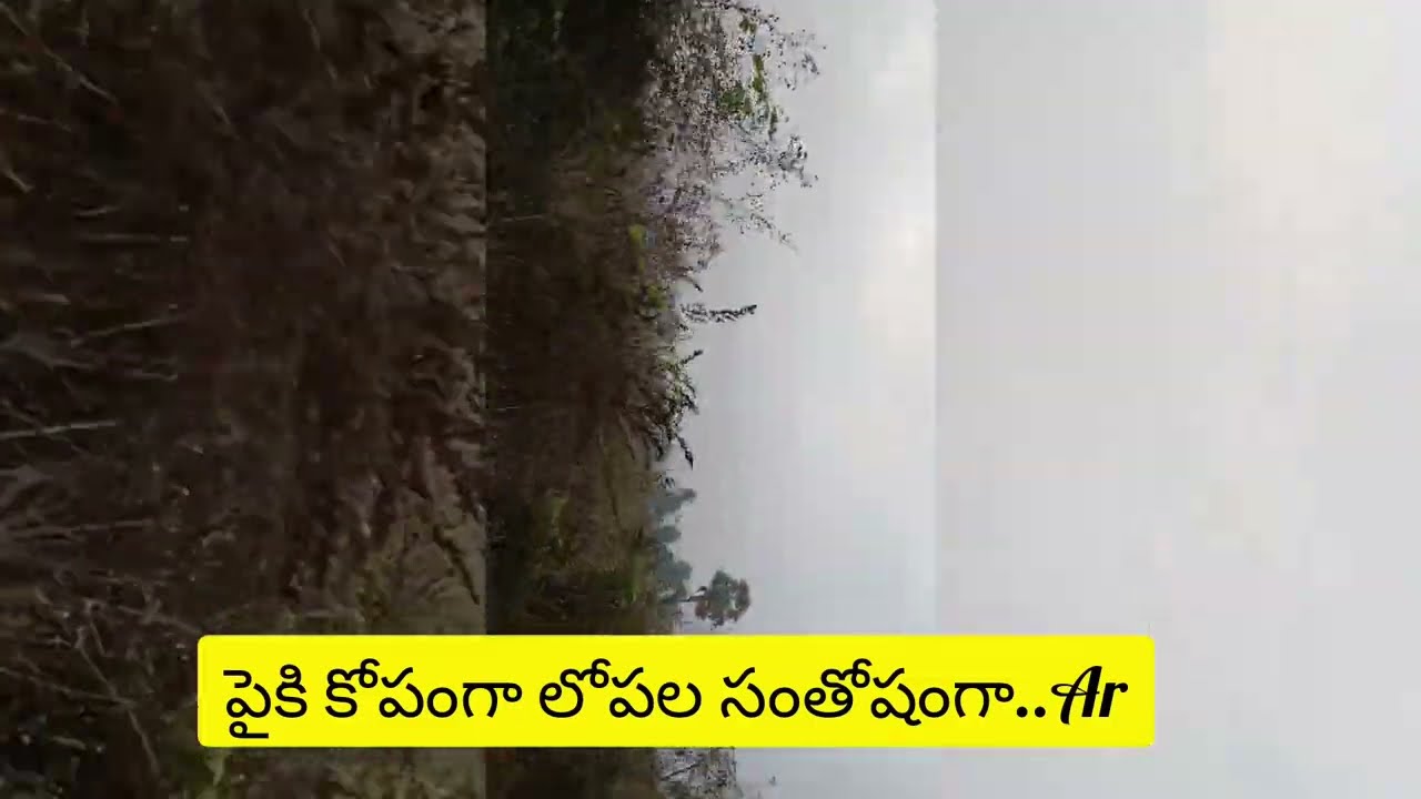 బాగి ని తన చేతులతోనే ఇంట్లోకి తీసుకొచ్చిన మనోహరి ట్విస్ట్ అదిరింది మొదటిసారి మనోహర్ ని చూస్తే ..🤣