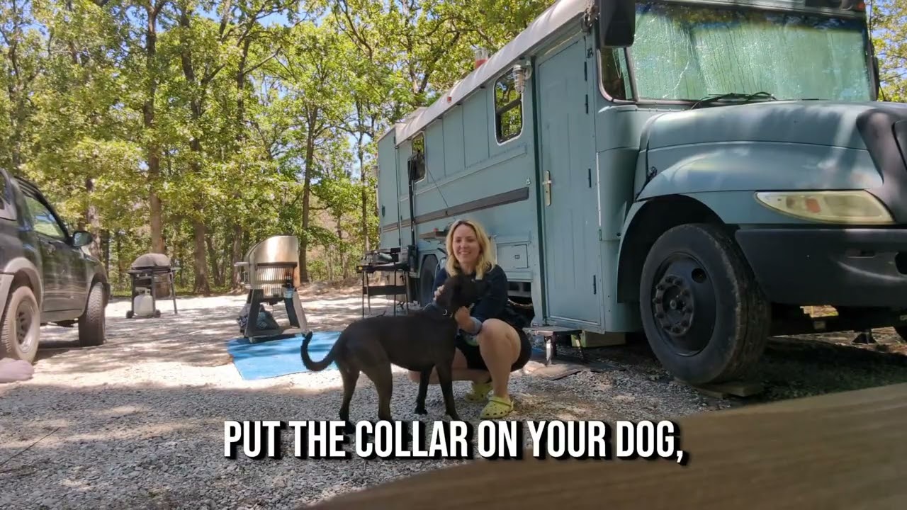 F900 Wireless Dog Fence - Ideal for Camping and Travel