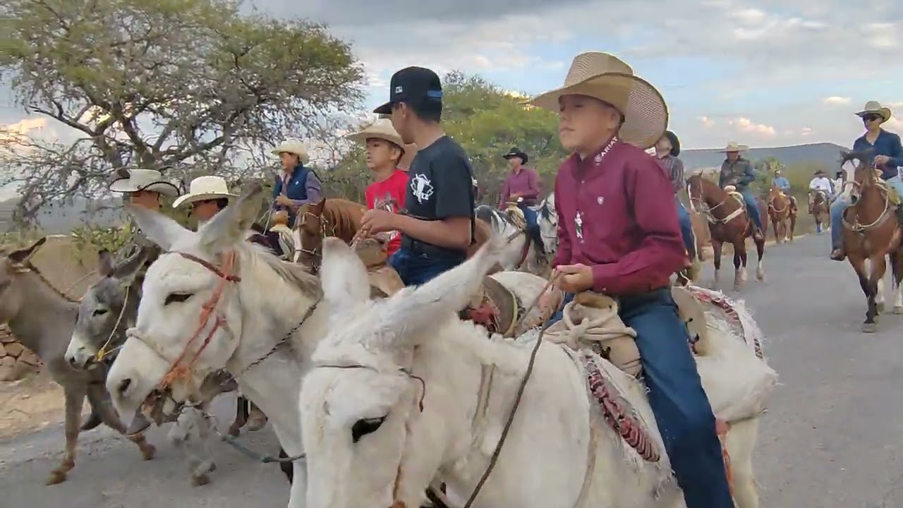 Cabalgata en San Tadeo Tepetongo Zac. 🐴🎇🌳☘️2026