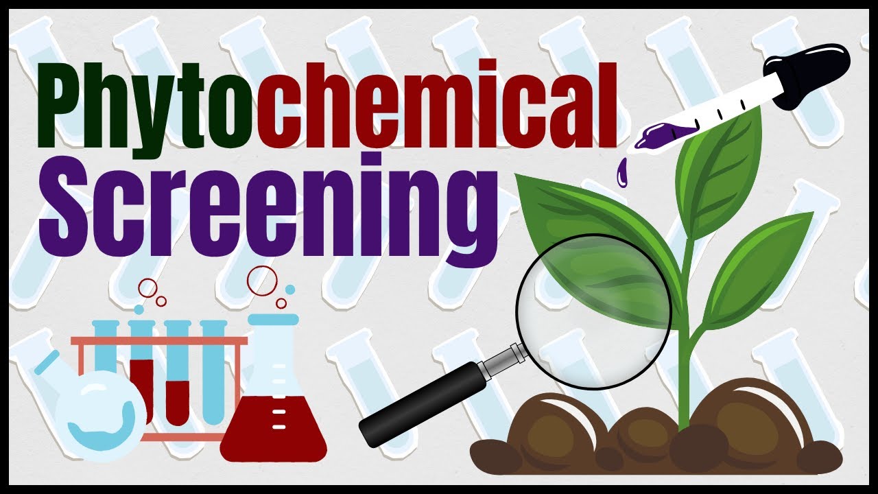Phytochemical Screening Explained | Plant Extract Tests & Reagents (Step-by-Step Guide)