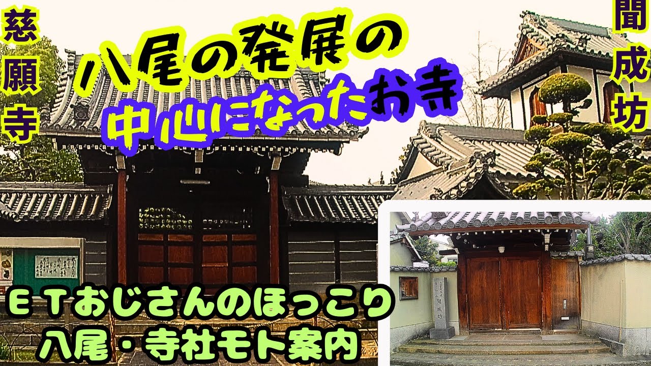 慈願寺／聞成坊　八尾市モト案内103