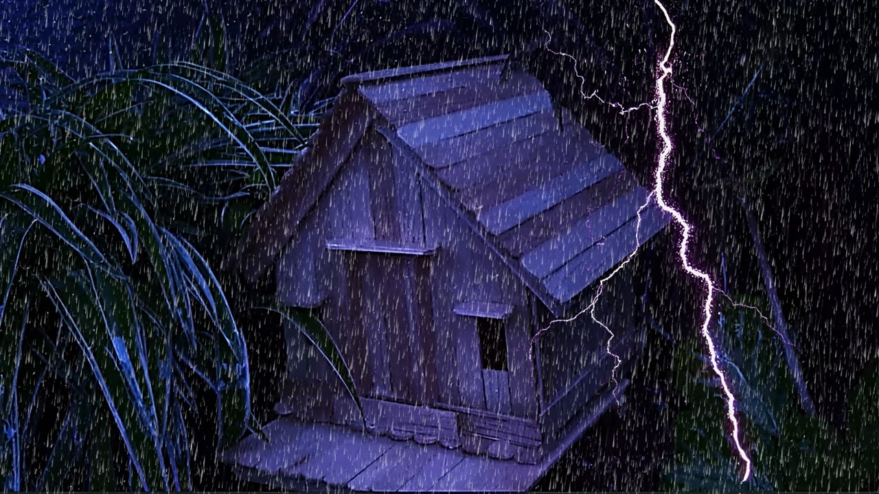 Safe Inside the Storm ⛈️ Forest Rain & Thunder for Sleep