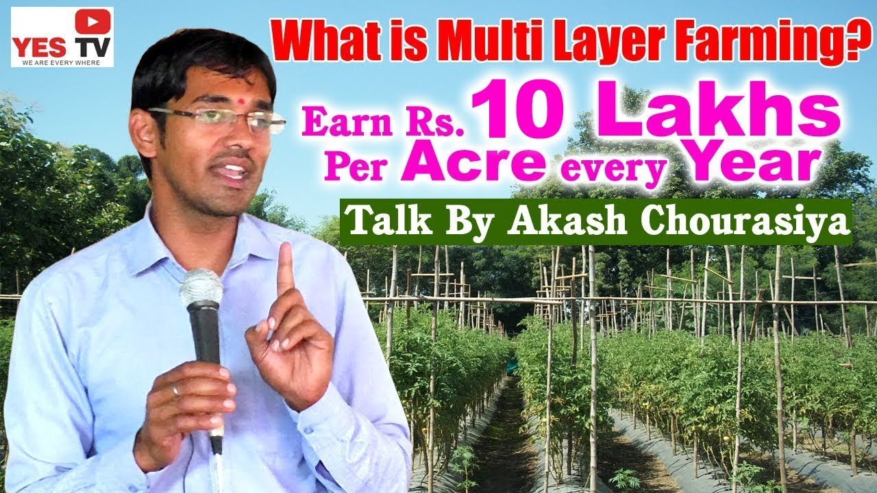 Earn Rs.10 lakhs per acher in a year!!What is 5 Layer farming?||Multi Layer Farming|akash chourasiya