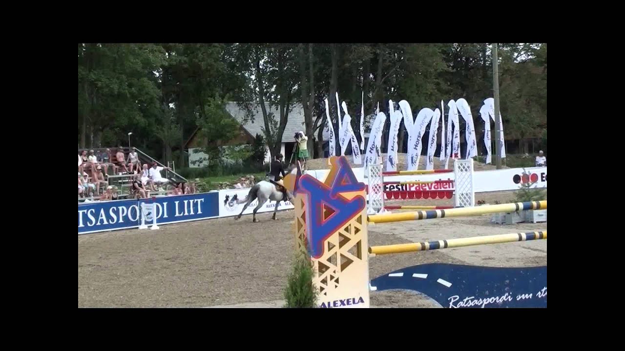 Stallion SOLD