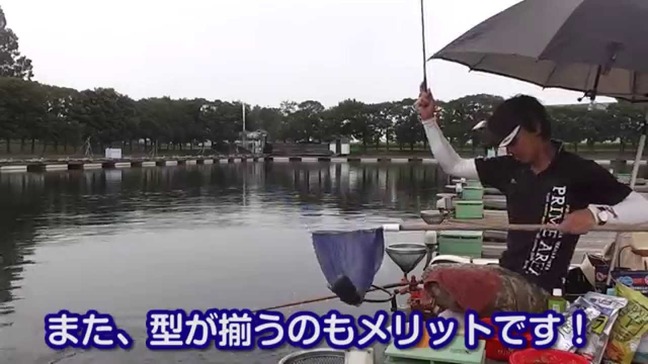 椎の木湖でのへら鮒釣り　チョーチン両ダンゴで130kg！