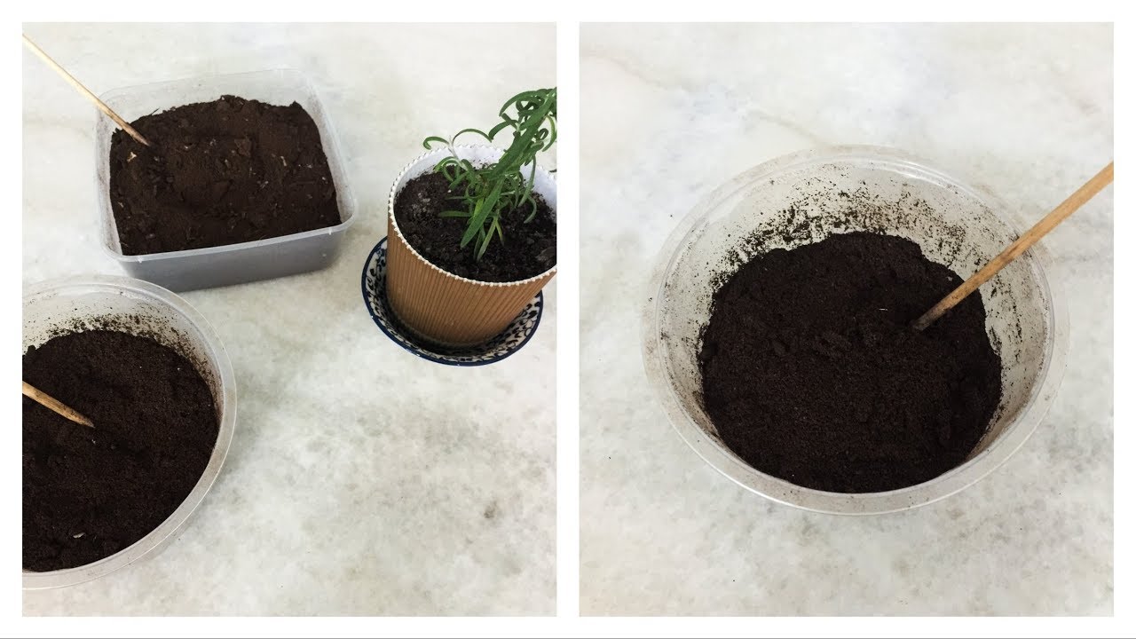 Coffee Compost | Homemade | Small Batch
