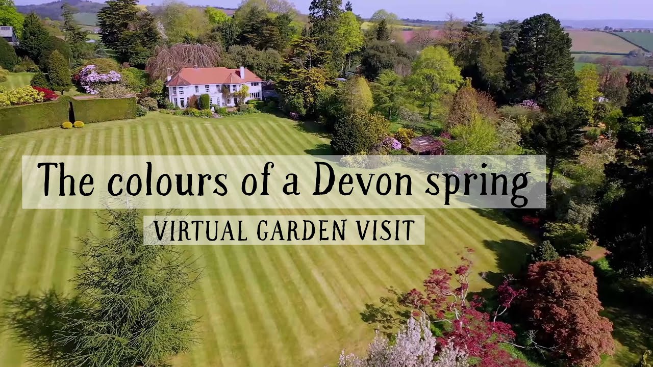 Haldon Grange, the colours of a Devon spring