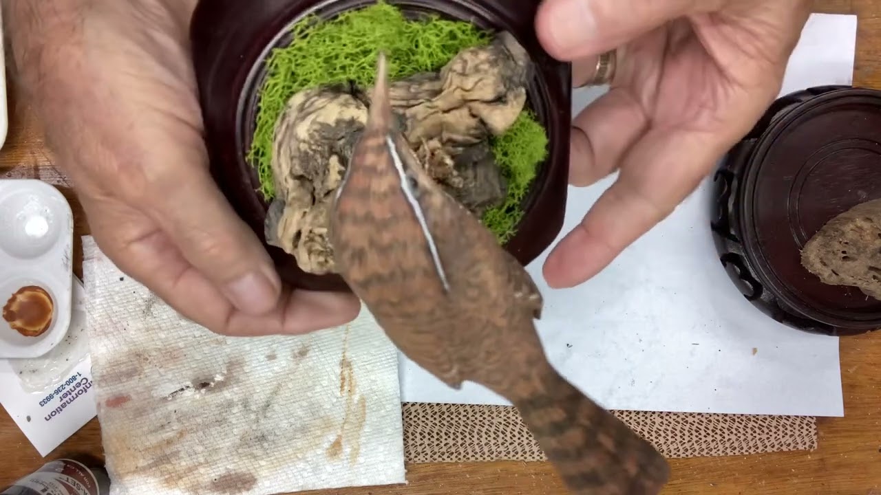 Part 29 : Completion of the wren