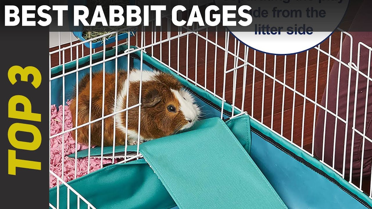 ✅ Best Rabbit Cages 2023 - Top 3 Rabbit Cages