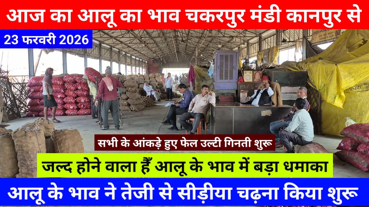 आज का आलू का भाव चकरपुर मंडी कानपुर से जल्द होने वाला हैँ आलू के भाव में बड़ा धमाका Aalu Ka Bhav