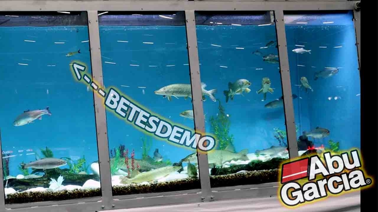 ABUs BETESDEMO på SPORTFISKEMÄSSAN
