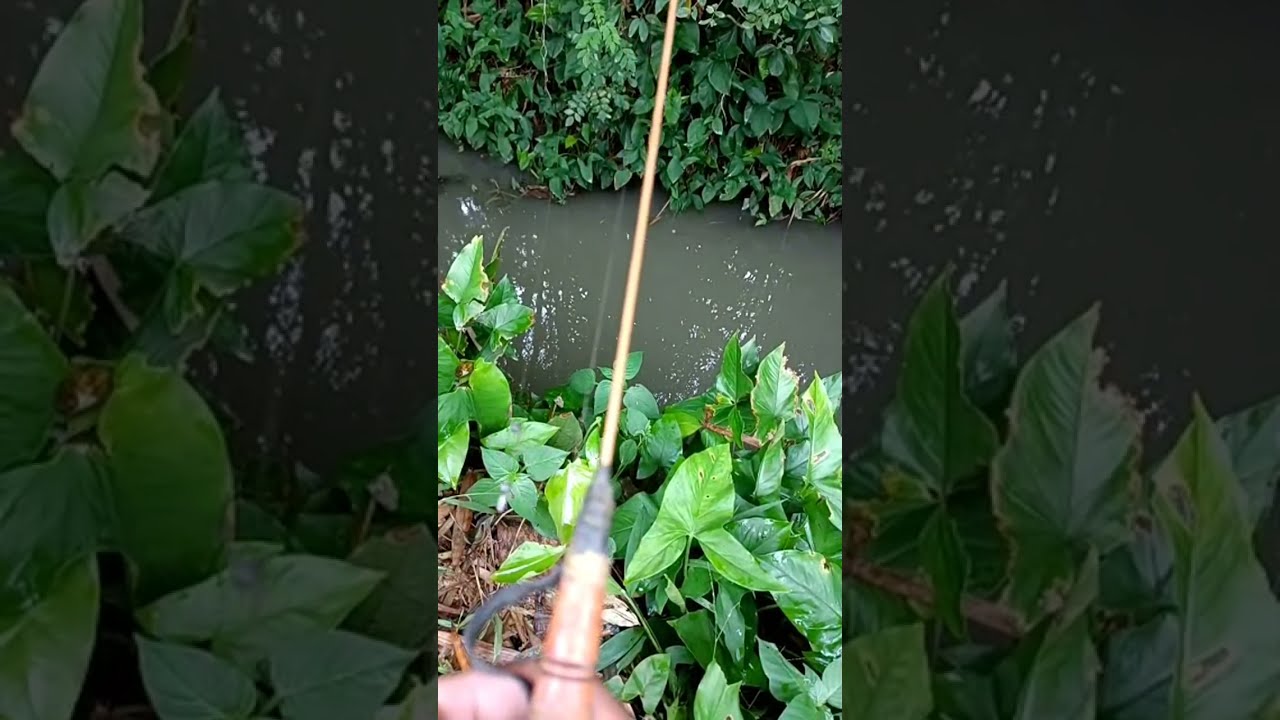 mancing udang ngabuburit