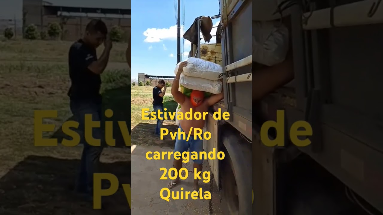 descarga de quirela , milho e ra&ccedil;&atilde;o #shorts
