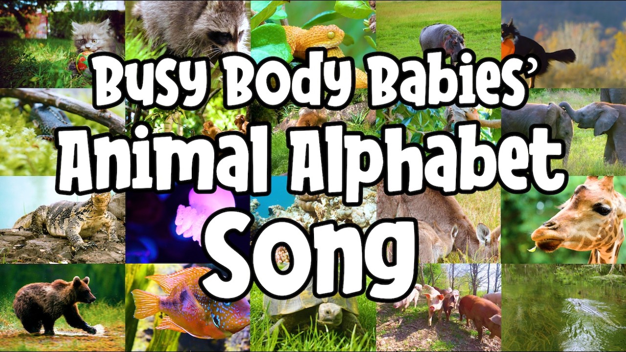 Песня про животных для малышей Busy Body | Учим названия животных от A до Z | Песня про животных ...