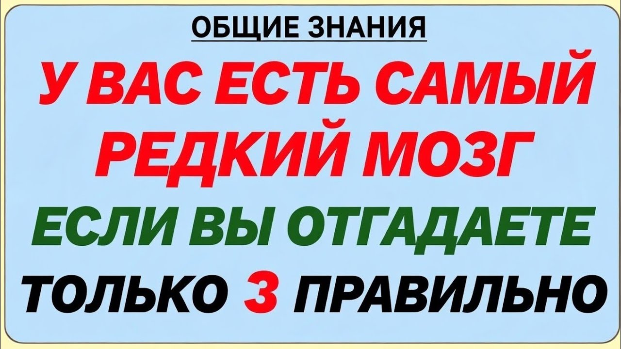 Графика для социальных сетей: Тест на общую эрудицию