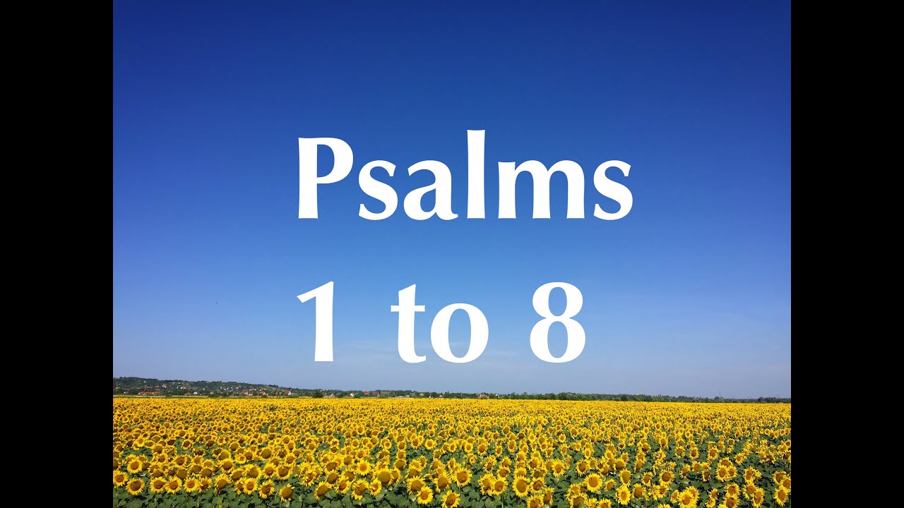 Psalm 1 to 8 - NIV Bible Reading | Book of Psalms with Verses | Devotional