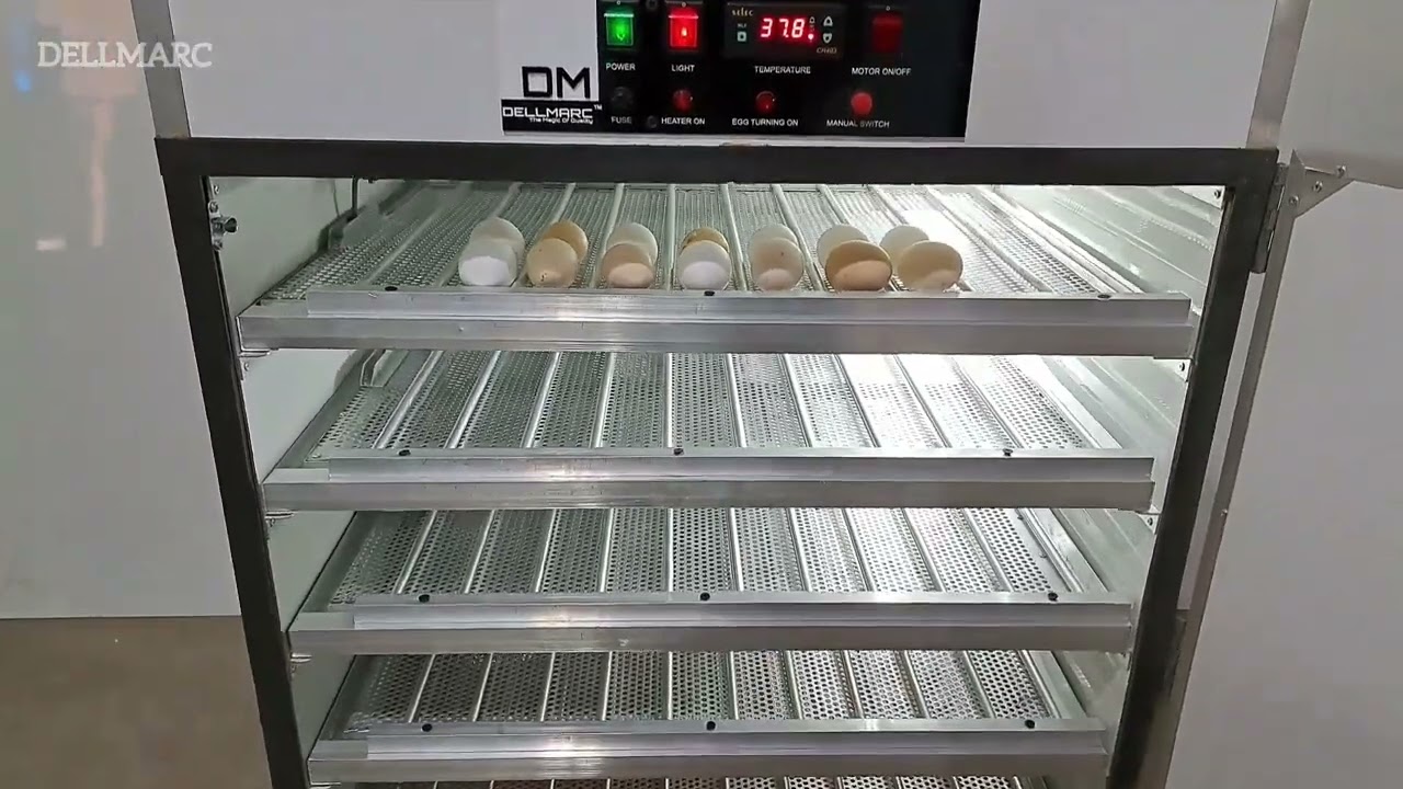 Good incubator- 500 egg Capacity -ऑटोमेटिक इंक्युबेटर_ Dellmarc Egg incubator_First Quality