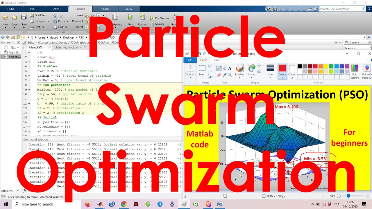 Particle Swarm Optimization (PSO)