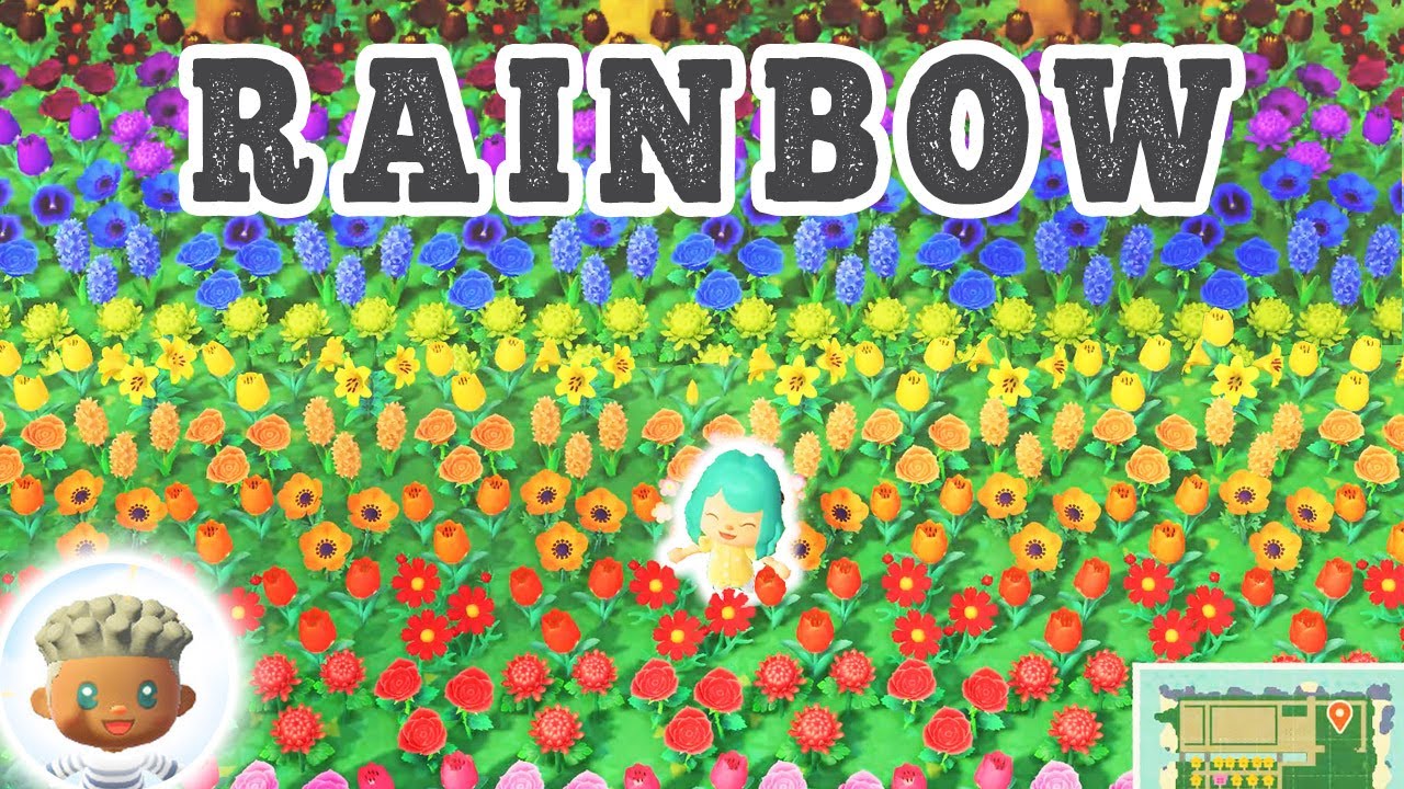 Animal Crossing Rainbow Field | Animal Crossing Design Ideas
