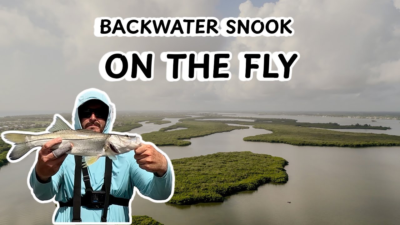 Florida Fly Fishing | Snook from a Paddle Board
