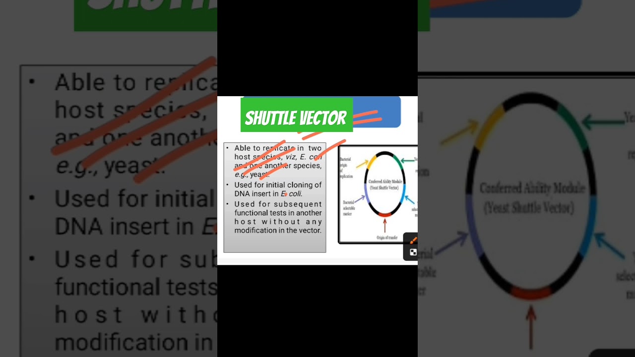 Shuttle Vector #agrigpb #rdna #genecloning #biotechnology #vector