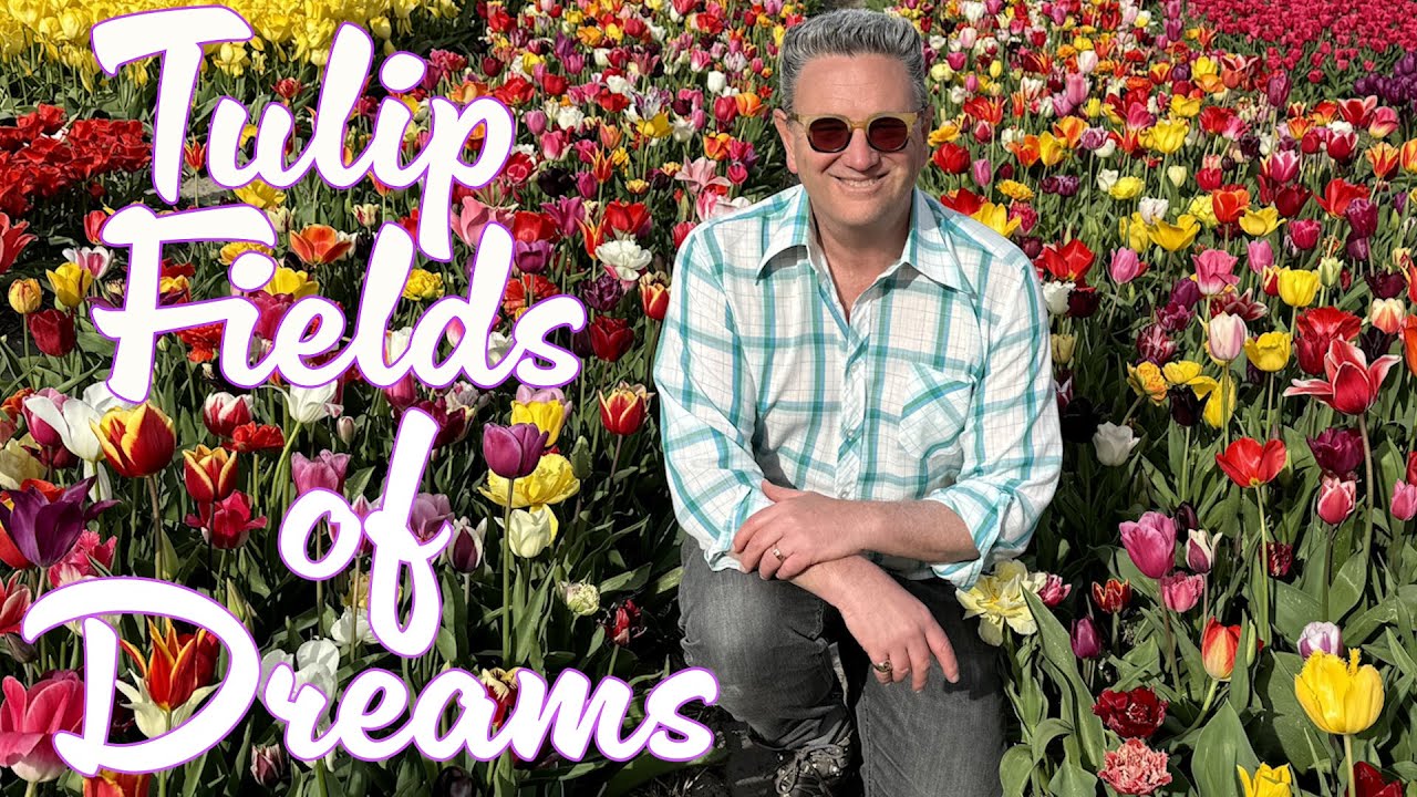 Biking to the Tulip Fields of Dreams Amsterdam