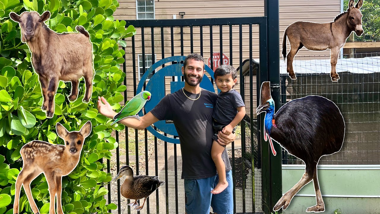 Exotic Animal Feeding Routine on the Ranch! 