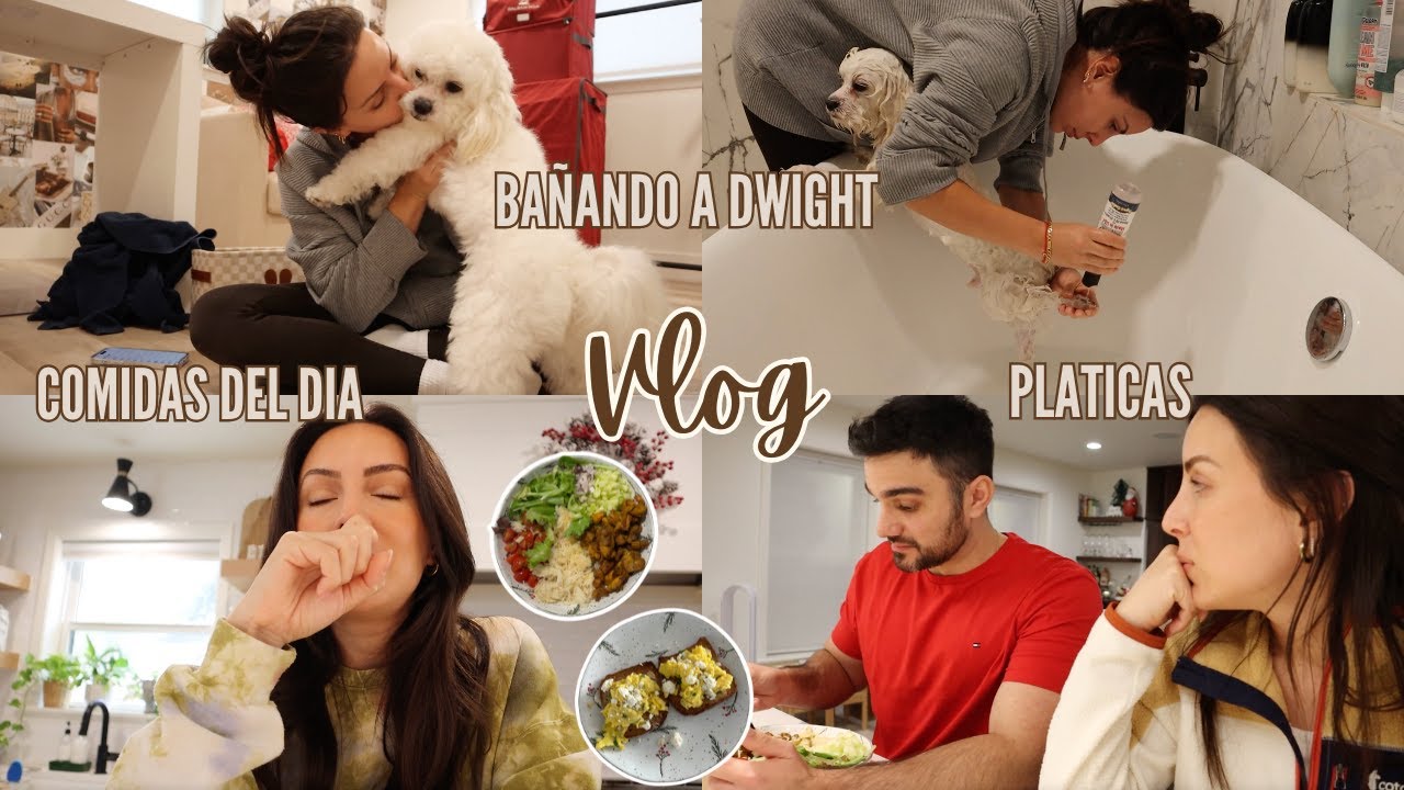 VARIOS DIAS |  PROBANDO MAS RECETAS | RUTINA CON DWIGHT | VLOG | Carol del Toro