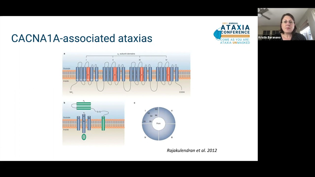 Pediatric Ataxia