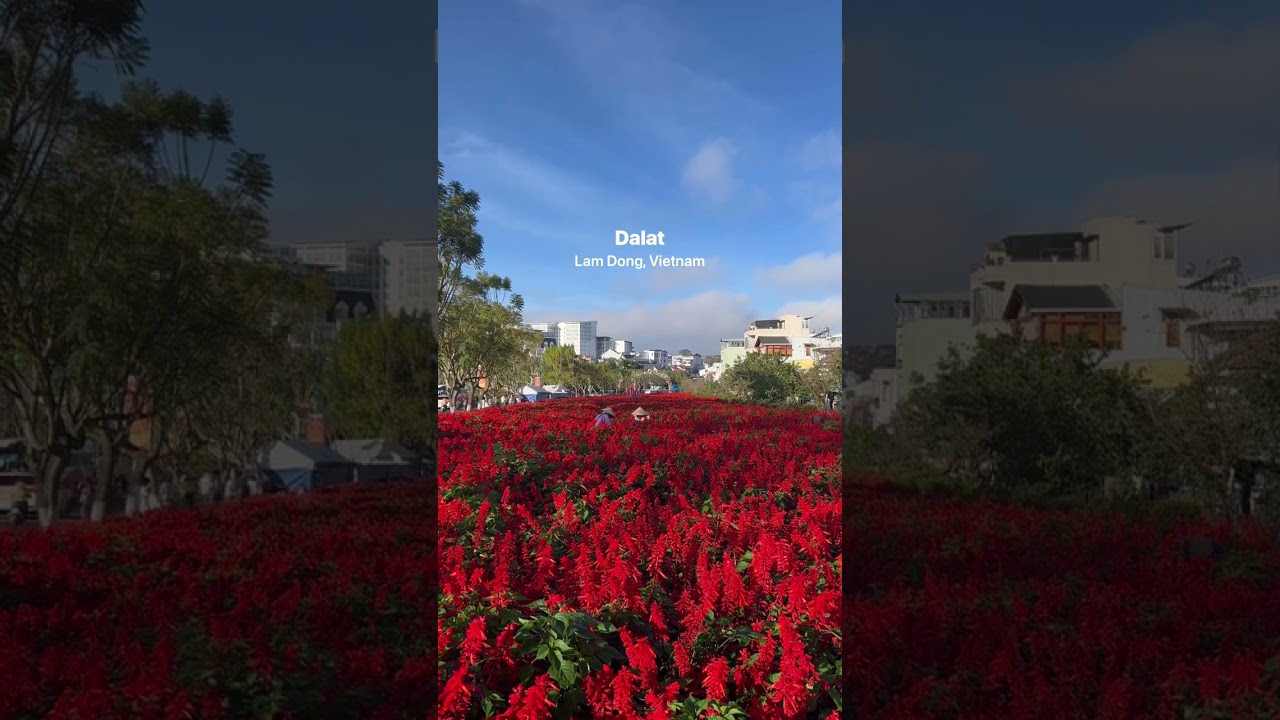 Dalat, The City of Flowers, Vietnam