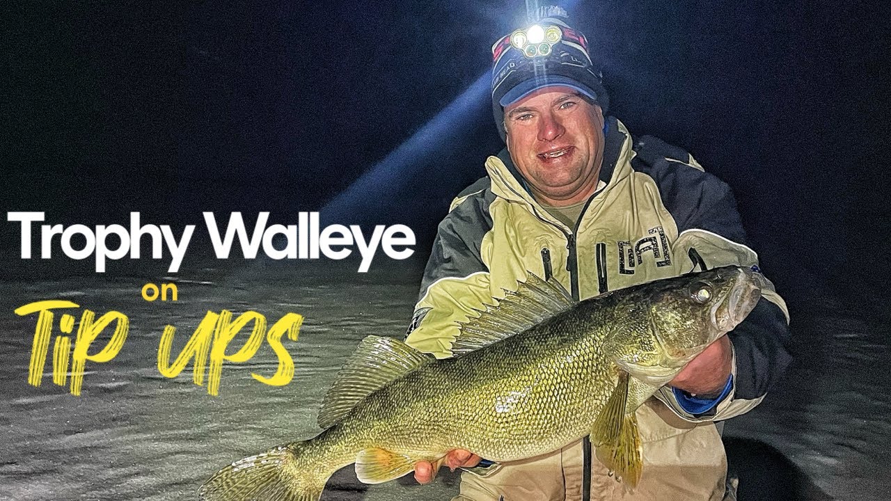 Trophy Walleye on Tip Ups