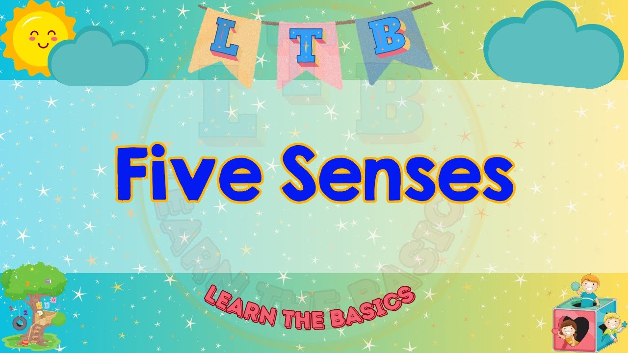 The Five Senses for Kindergarten Learn with Ms. Michelle
