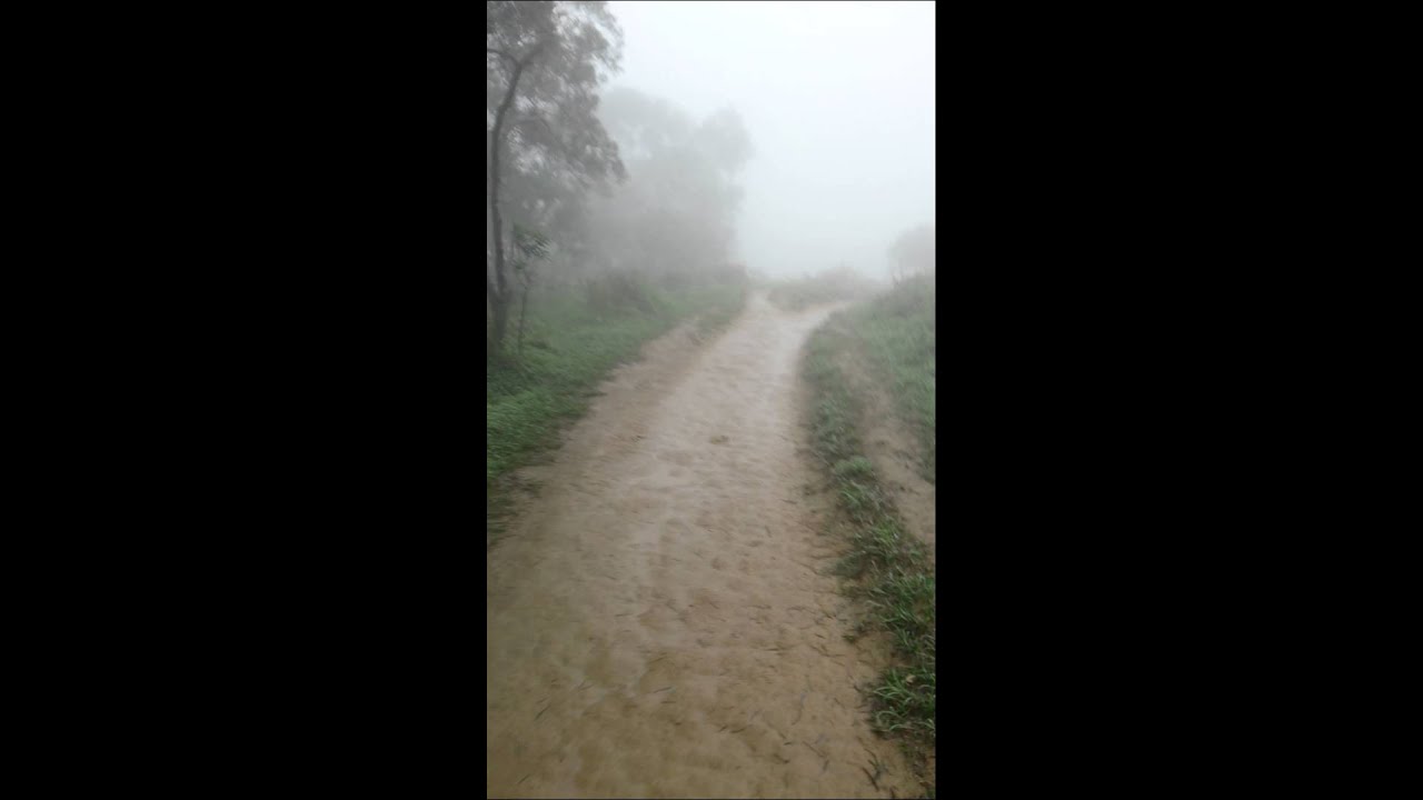 MOV0303