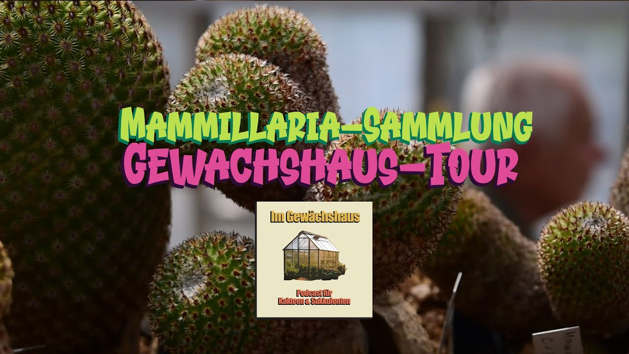 Riesige Mammillaria-Sammlung! | Gewächshaus Tour (2/2)