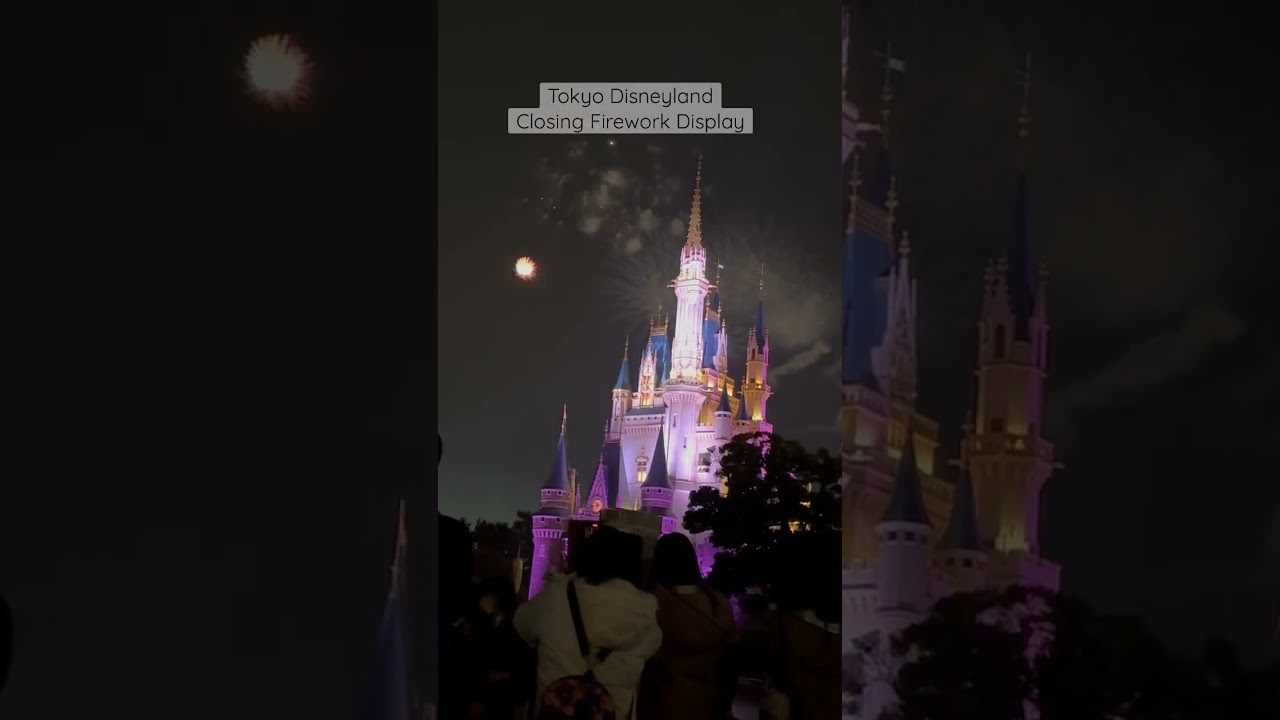 2023 Winter Fireworks @ Tokyo Disneyland #travelvlog #leisure #tokyo #traveljapan #traveltokyo