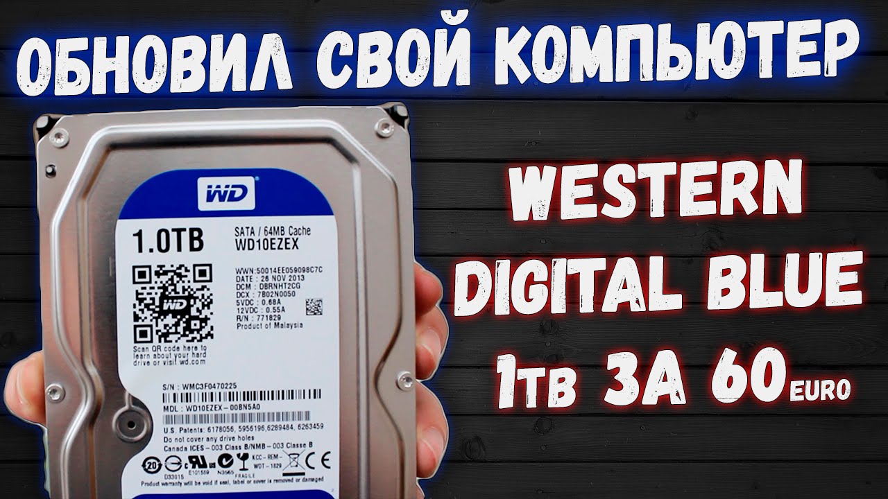 ОБЗОР HDD Western Digital BLUE НА 1tb - Улучшил свой ПК - Техно ARSIK