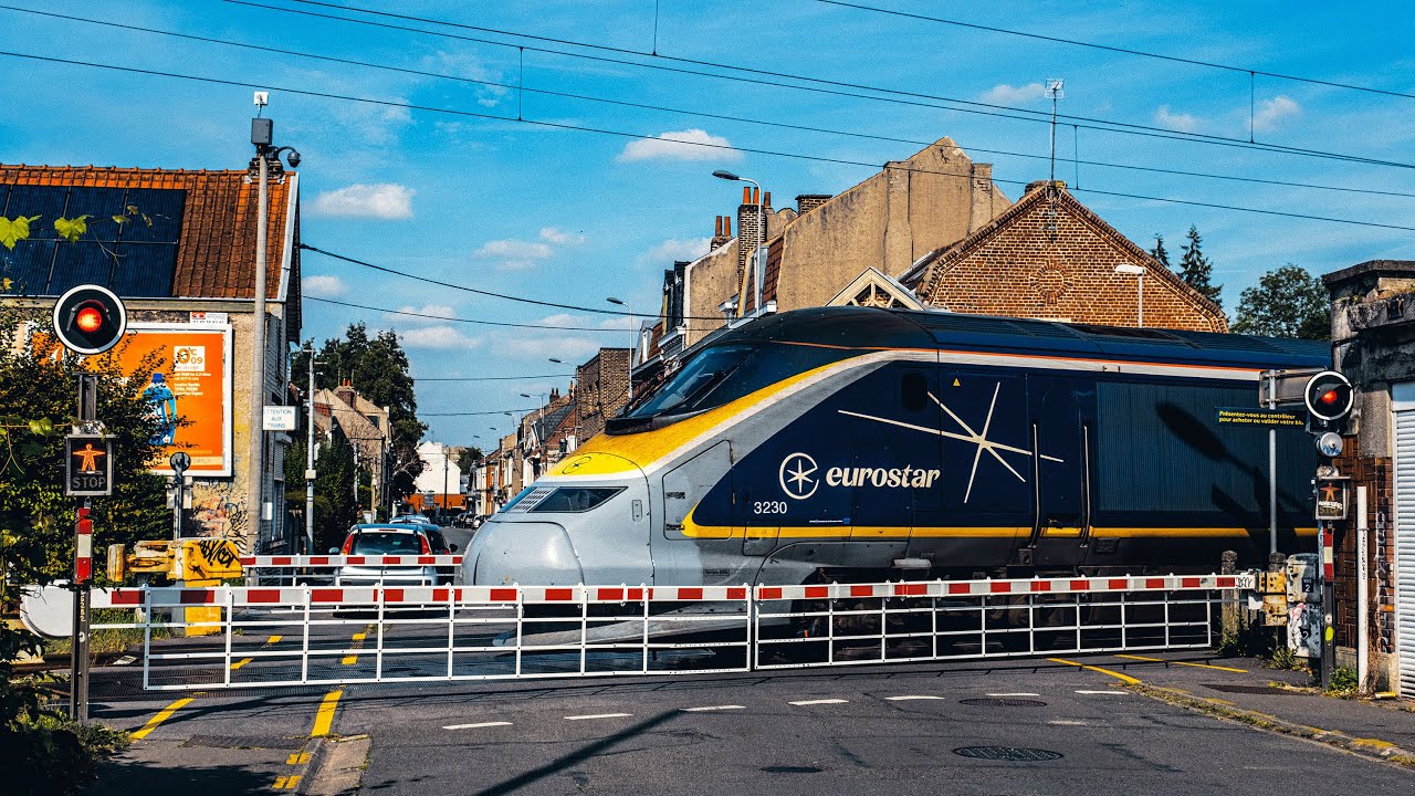 TRAINS, TGV ET PASSAGE A NIVEAU EN ACTION DANS LE NORD !