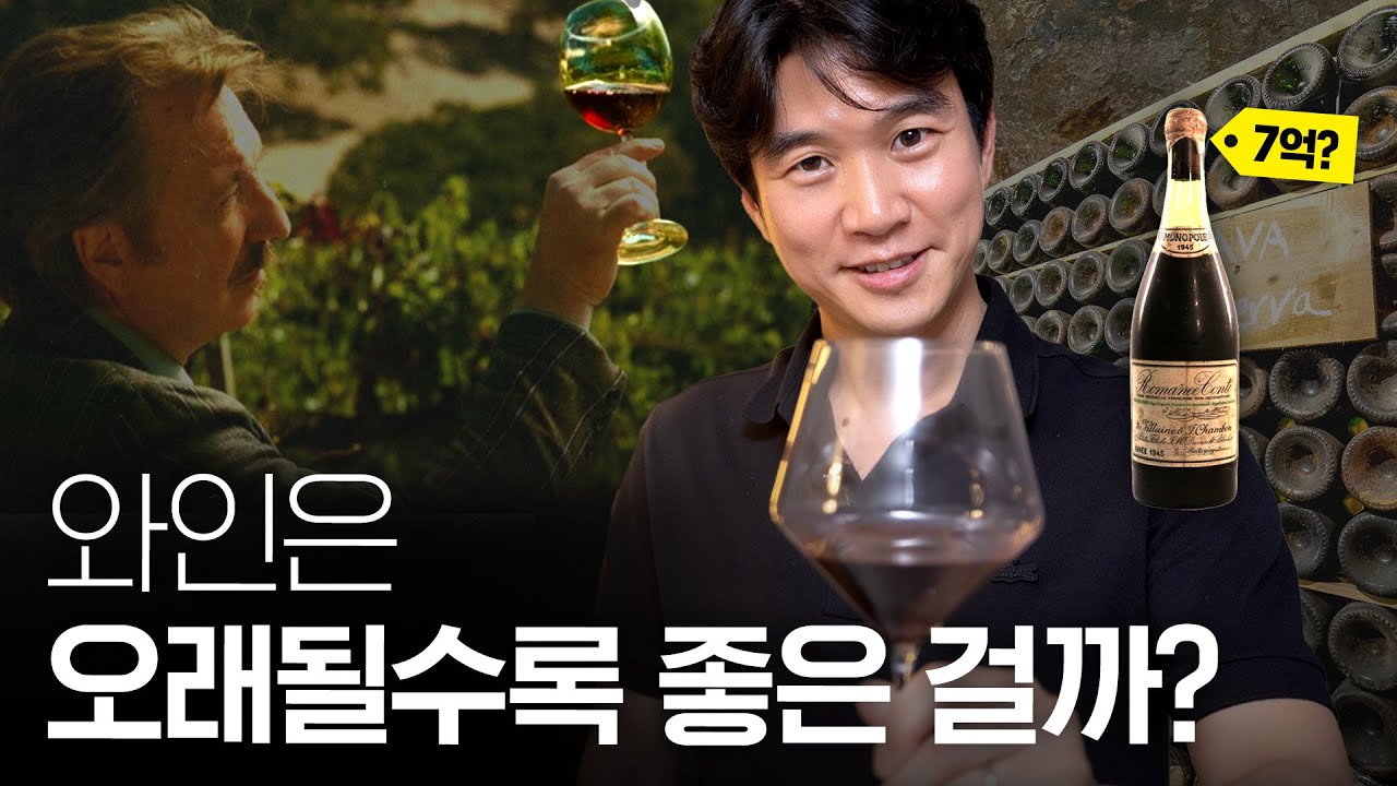 🍷 최고급 빈티지 와인을 가장 저렴하게 마시는 비법? (ft.궁그미)
