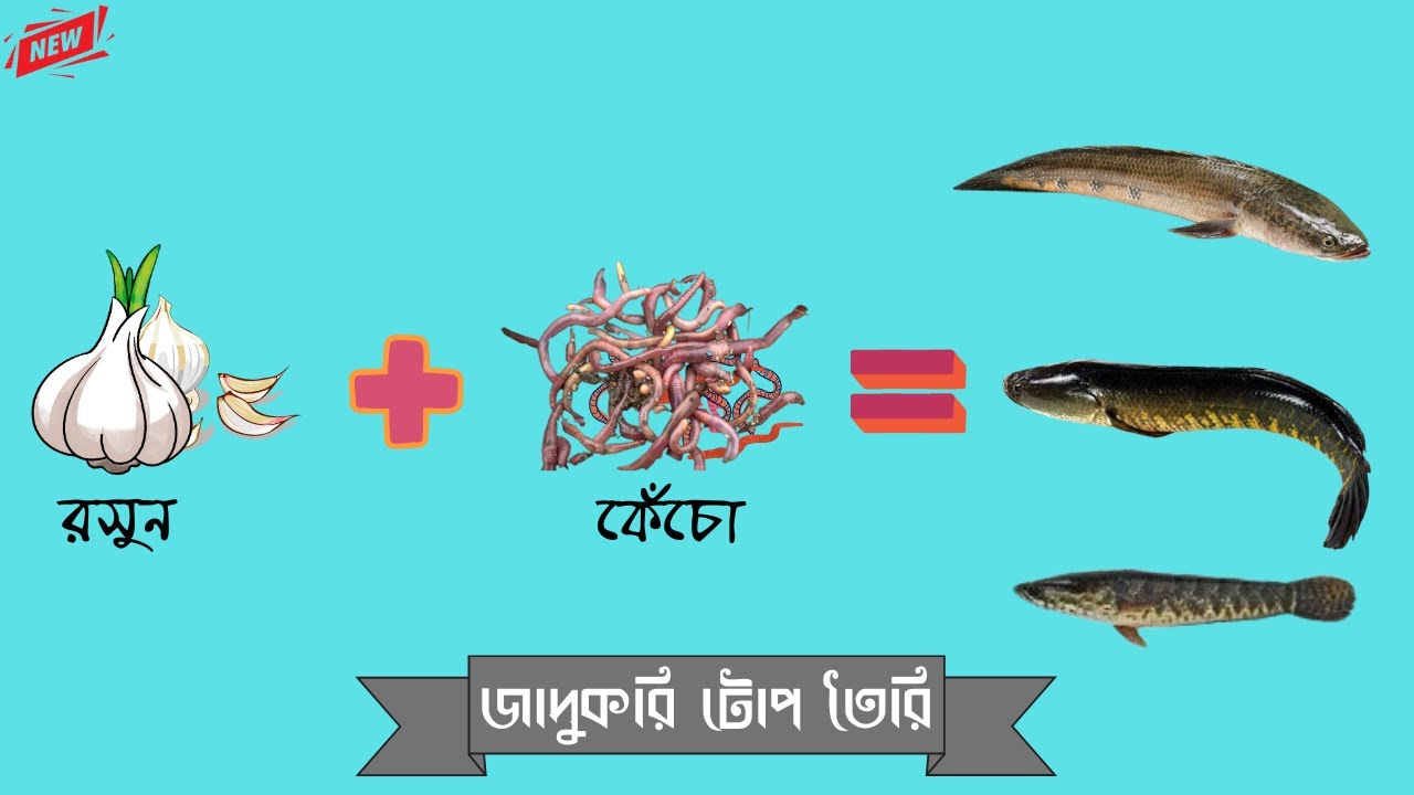 শোল মাছের টোপ বানানো । Snakehead Murrel Fish Bait । শোল মাছের টোপ | গজার মাছ ধরার টোপ তৈরি