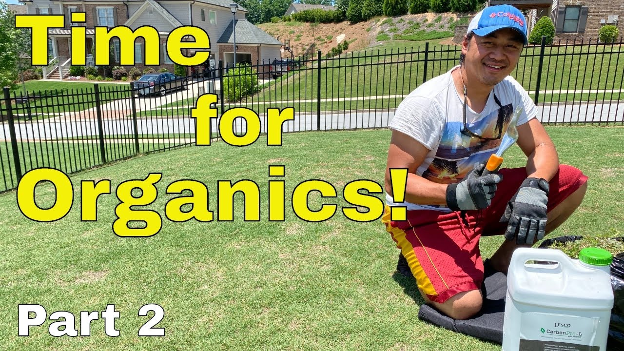 [LAWN CARBON] How to [FIX an UGLY LAWN] | Golf Course Lawn RENOVATION