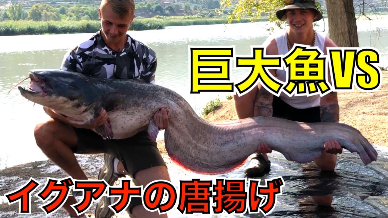 狂った居酒屋と巨大ナマズと巨大カワハギと巨大ウナギとあいつと俺と 〜ヤバい魚小ネタ集〜