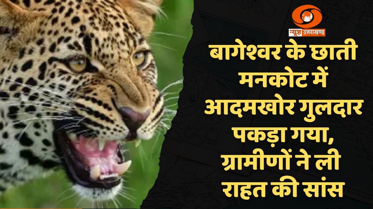 बागेश्वर के छाती मनकोट में पकड़ा गया आदमखोर गुलदार, ग्रामीणों ने ली राहत की सांस
