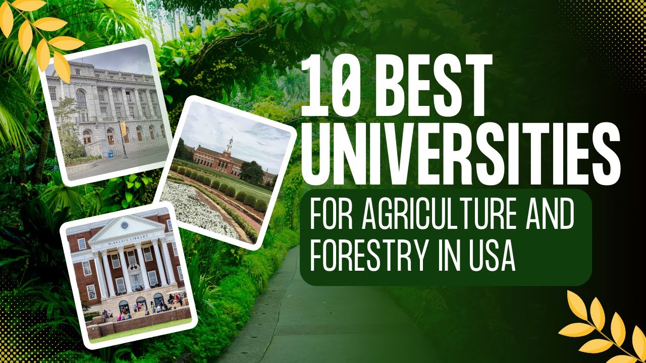 10 Best universities in USA for Agriculture and Forestry