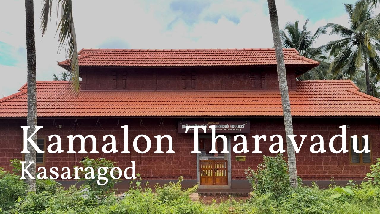 14 തലമുറകൾ | വലിയവീട് കാമലോൻ തറവാട്।Valiyaveedu Kamalon Tharavadu  Bedakam | Kasaragod | Kerala