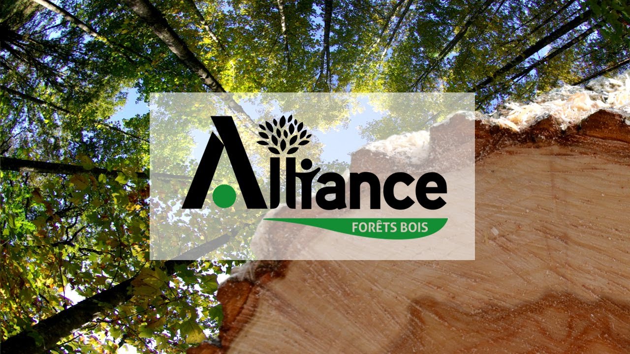 ALLIANCE FORÊTS BOIS : la passion de la forêt !