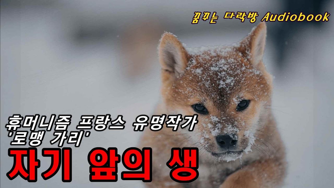 [자기 앞의 생] 오디오북｜휴머니즘 프랑스 작가 로맹 가리｜광고없음