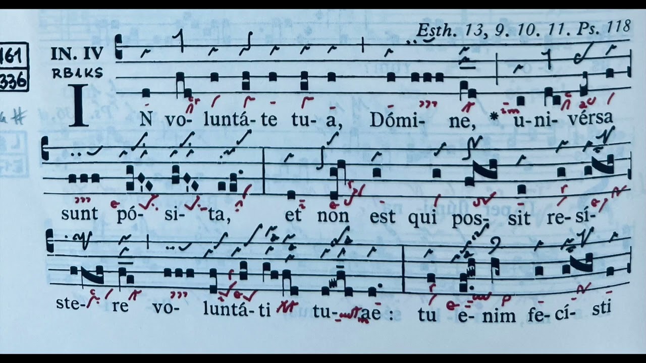 In voluntate tua Domine - Ad introitum