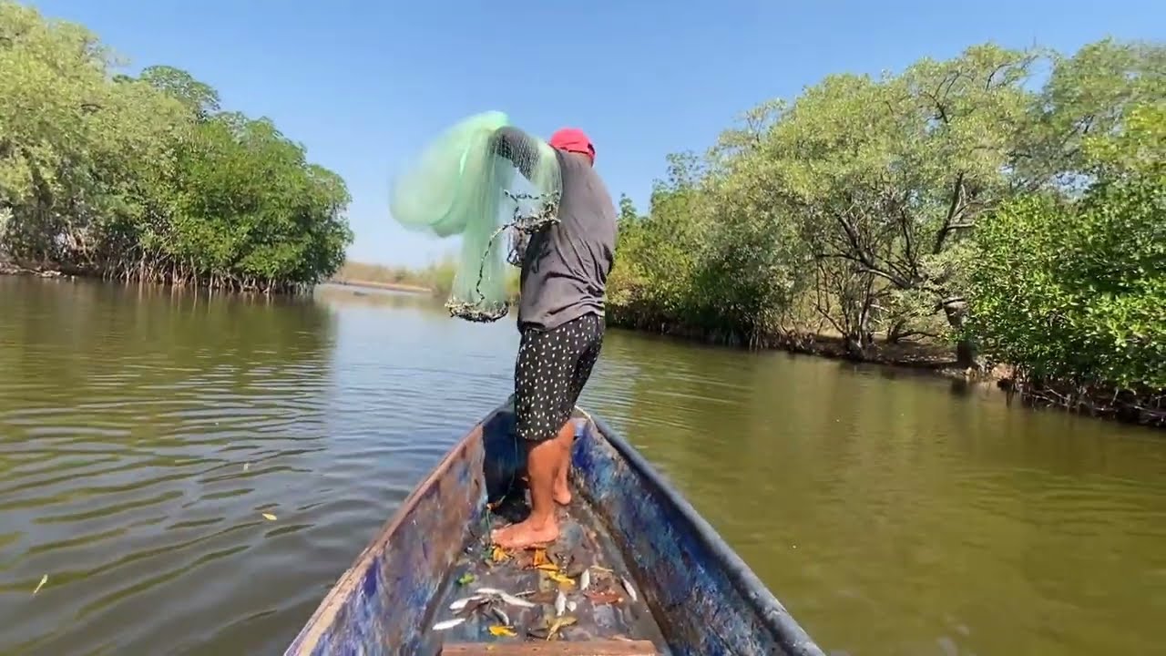 Lo gramos agarrar lo que queríamos 