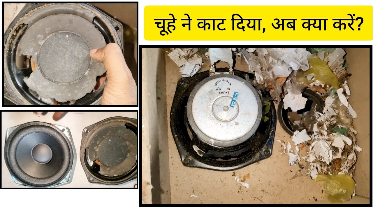 चूहे ने काट दिया अब क्या करें 😮 | How to Repair PHILIPS Subwoofer 🔊